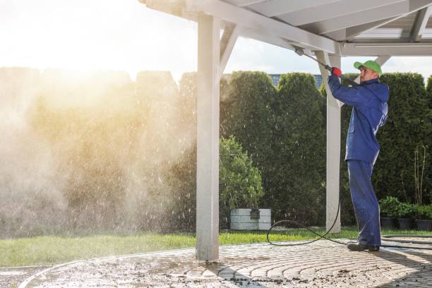 Best Building Exterior Washing  in Ilco, WA
